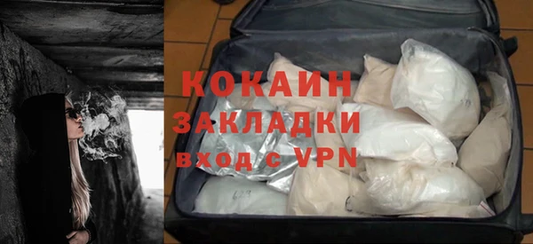 прущие грибы Михайловка
