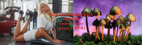 хмурый Михайловск