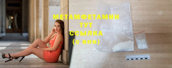 прущие грибы Михайловка
