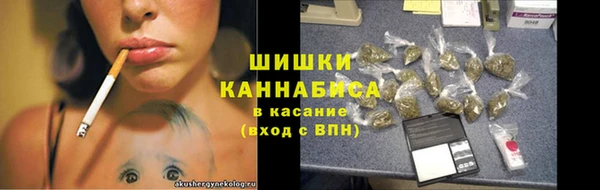 прущие грибы Михайловка