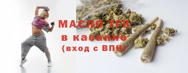 сатива Ачинск