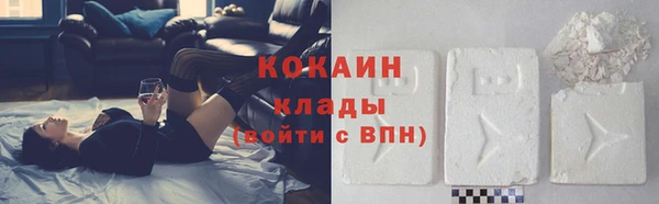 прущие грибы Михайловка