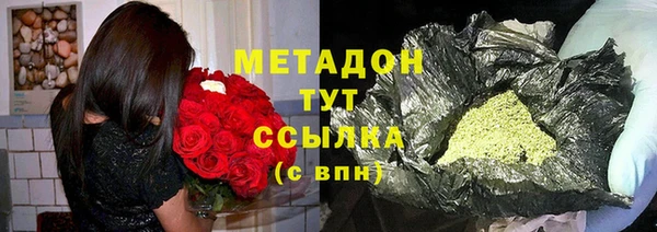 прущие грибы Михайловка