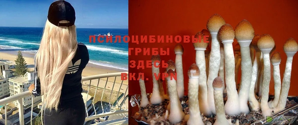 бошки Абаза