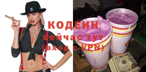 хмурый Михайловск