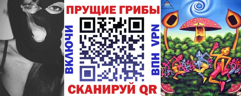 Псилоцибиновые грибы Psilocybe Тайга