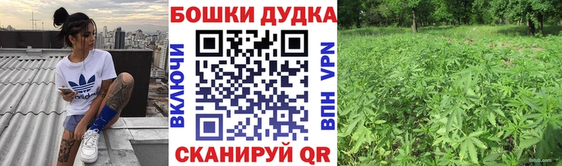 Шишки марихуана Bruce Banner  купить наркотик  Тайга 